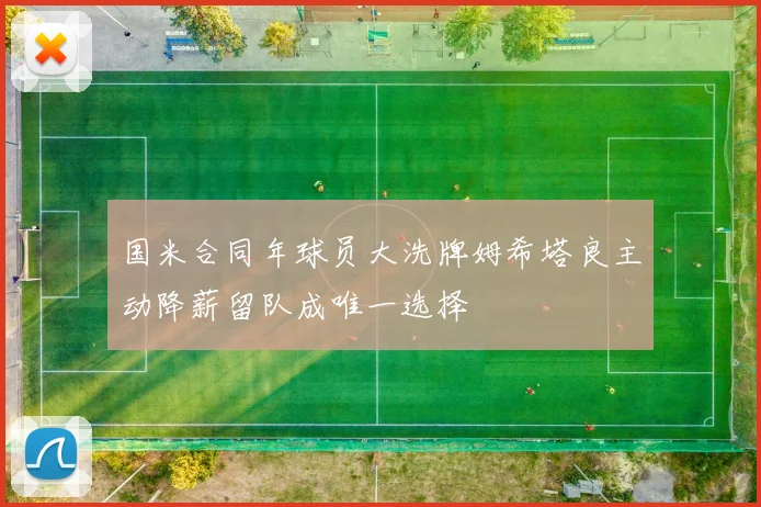 国米合同年球员大洗牌姆希塔良主动降薪留队成唯一选择