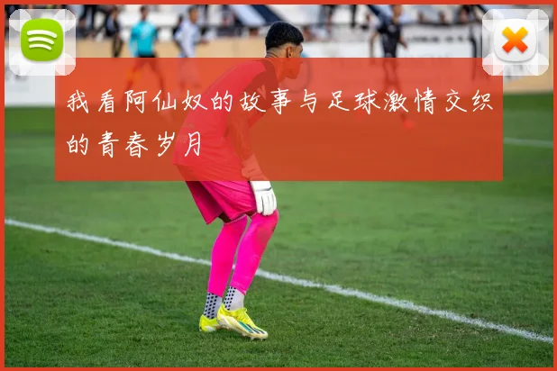 我看阿仙奴的故事与足球激情交织的青春岁月